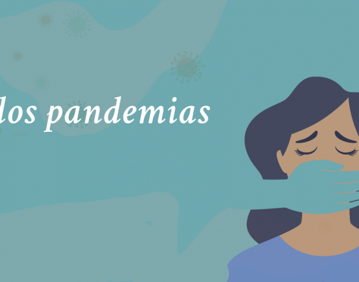 Violencia Doméstica en aumento durante el COVID-19.