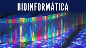 La importancia de la Bioinformática