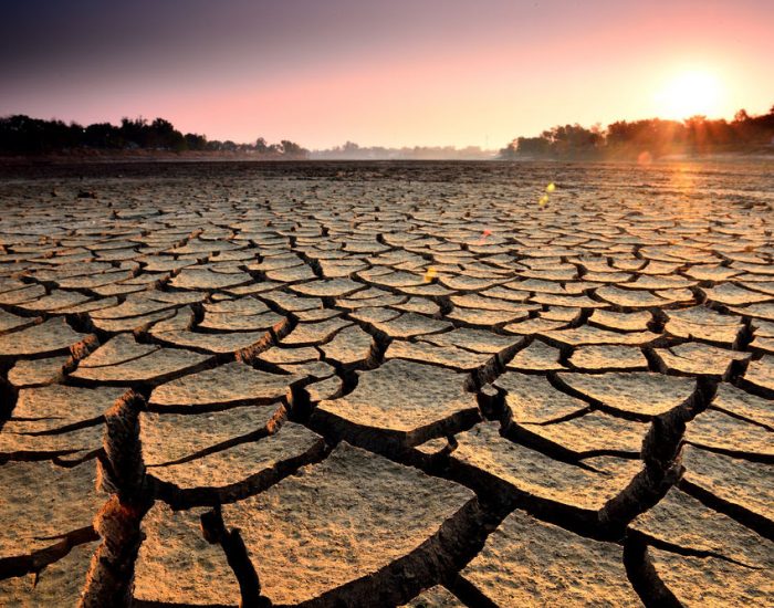 Estrés hídrico, factores que surgen  por el agotamiento del agua