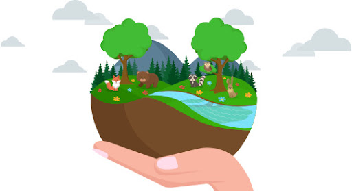 Rehabitat un camino a la naturaleza e-commerce